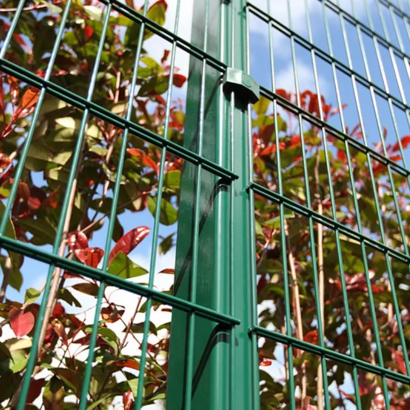 Color-Coated Twin Wire Fence