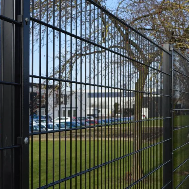 Color-Coated Twin Wire Fence