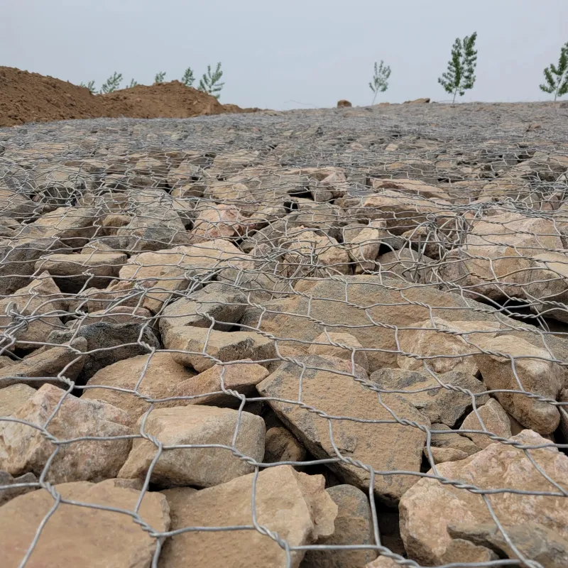 AquaFlex Eco-Adaptive Riverbank Gabion System