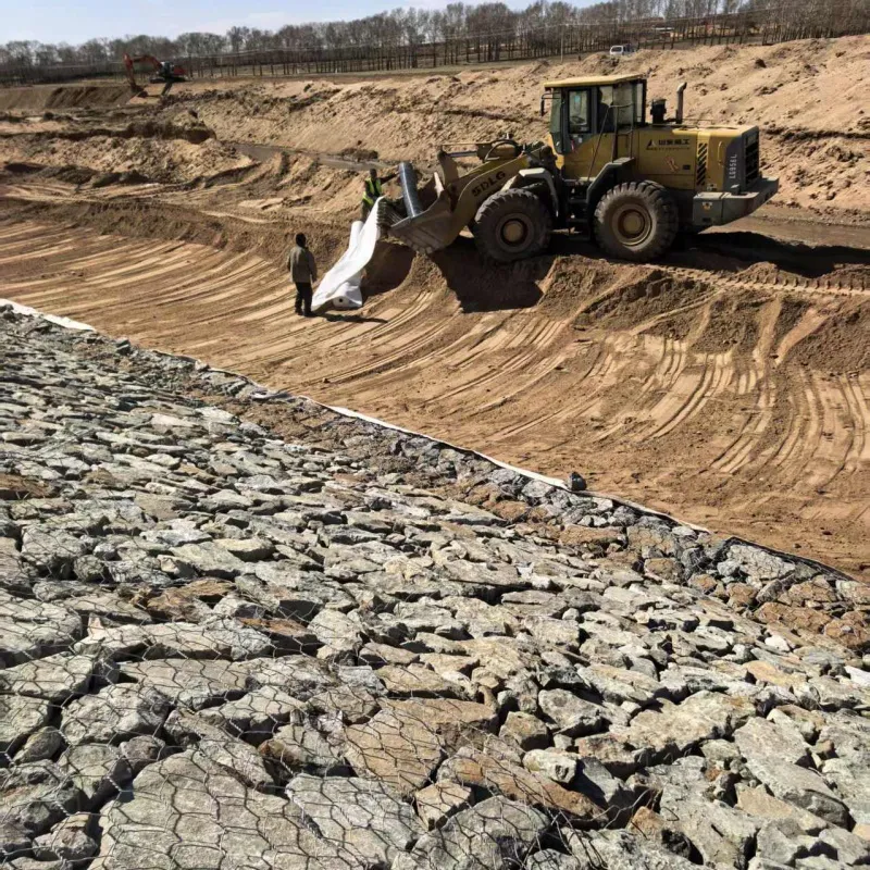 AquaFlex Eco-Adaptive Riverbank Gabion System