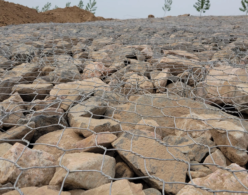 AquaFlex Eco-Adaptive Riverbank Gabion System