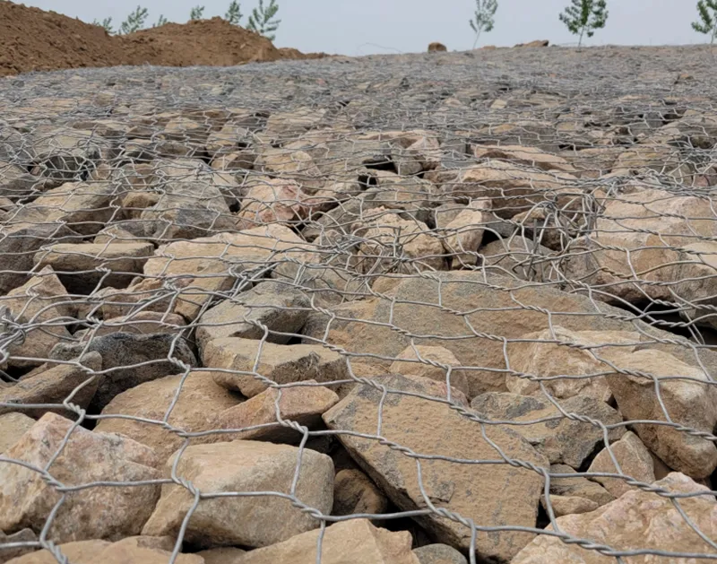 AquaFlex Eco-Adaptive Riverbank Gabion System