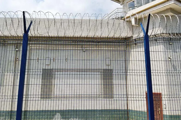 Anti Climb Fence Project Cases
