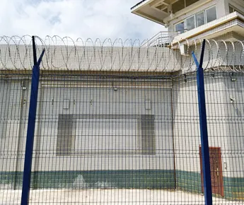 Anti Climb Fence Project Cases
