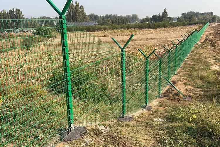 Weled wire mesh with Y post barbed wire