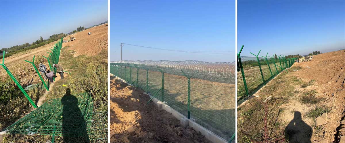 Weled wire mesh with Y post barbed wire